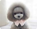 Lovely Pink Pet Collar With Pearl Bowknot Princess Dog Costume Decor Accessories