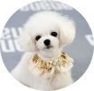 Adjustable Pet Collar With Gold Sequin Princess Dog Necklace 9-18 inches