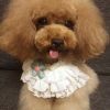Cute Flower Retro Style Handmade Lace Collars Dog Necklace Collars 8.2-11.2"