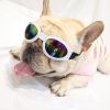 Pet Sunglasses For Dog; Foldable Dog Glasses For Outdoor; Dog Sunglasses; Pet Accessories