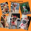 Chrimas Dog Winter Warm Clothing Cute Plush Coat Hoodies Pet Costume Jacket For Puppy French Bulldog Chihuahua Small Dog Clothing
